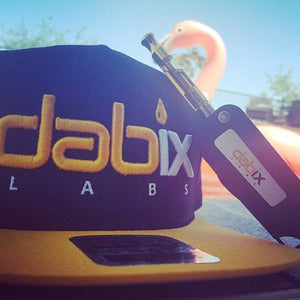 Premium Snapback Hat - Dabix Labs